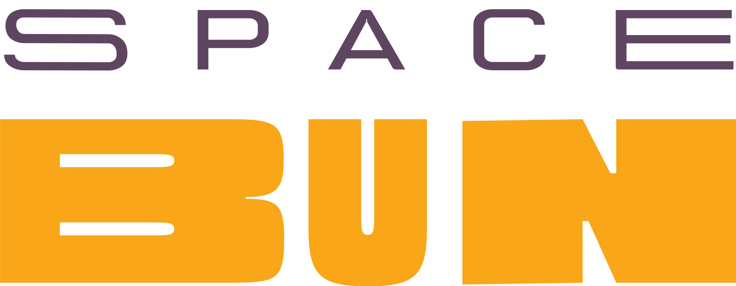 Space Bun Logo